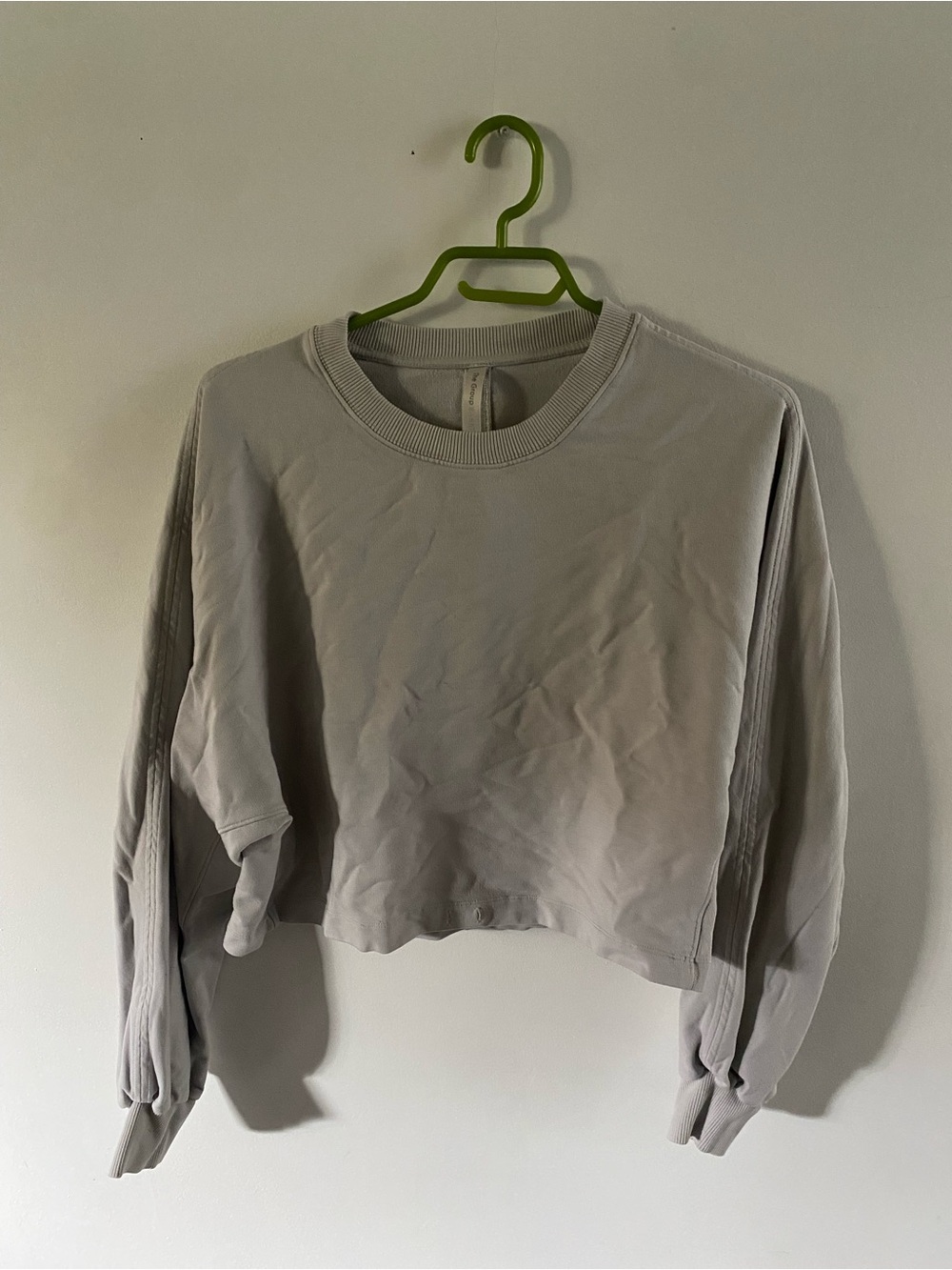 Babaton Cropped Crewneck Sweatshirt in Light Gray